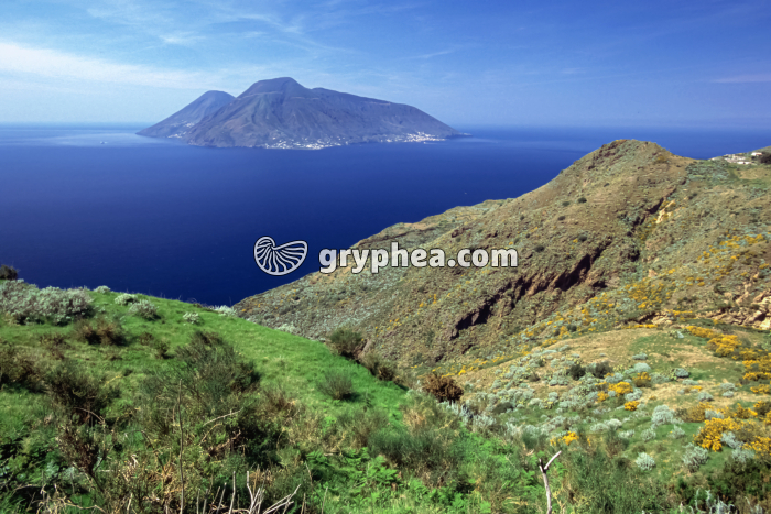 Ile volcanique de Salinas (Sicile) - gryphea.com